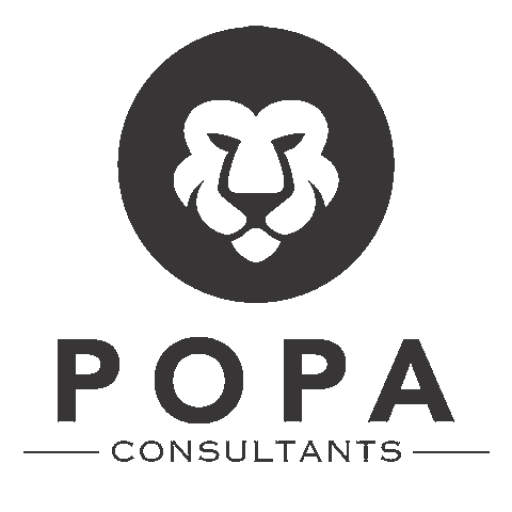 Popa Consultants - IT Services Consulting